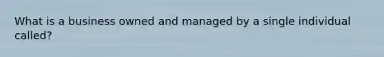 What is a business owned and managed by a single individual called?