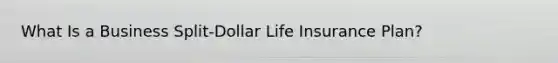 What Is a Business Split-Dollar Life Insurance Plan?