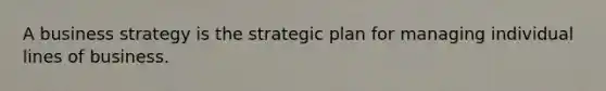 A business strategy is the strategic plan for managing individual lines of business.