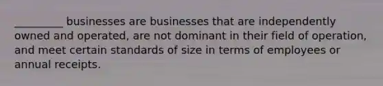 _________ businesses are businesses that are independently owned and operated, are not dominant in their field of operation, and meet certain standards of size in terms of employees or annual receipts.