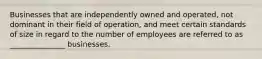 Businesses that are independently owned and operated, not dominant in their field of operation, and meet certain standards of size in regard to the number of employees are referred to as _______________ businesses.