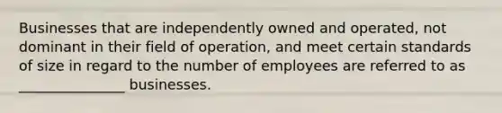 Businesses that are independently owned and operated, not dominant in their field of operation, and meet certain standards of size in regard to the number of employees are referred to as _______________ businesses.