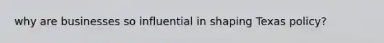 why are businesses so influential in shaping Texas policy?