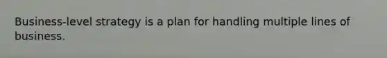 Business-level strategy is a plan for handling multiple lines of business.