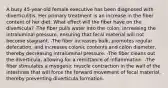 A busy 45-year-old female executive has been diagnosed with diverticulitis. Her primary treatment is an increase in the fiber content of her diet. What effect will the fiber have on the diverticula? -The fiber pulls water into the colon, increasing the intraluminal pressure, ensuring that fecal material will not become stagnant. -The fiber increases bulk, promotes regular defecation, and increases colonic contents and colon diameter, thereby decreasing intraluminal pressure. -The fiber cleans out the diverticula, allowing for a remittance of inflammation. -The fiber stimulates a myogenic muscle contraction in the wall of the intestines that will force the forward movement of fecal material, thereby preventing diverticula formation.