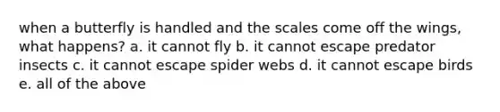 when a butterfly is handled and the scales come off the wings, what happens? a. it cannot fly b. it cannot escape predator insects c. it cannot escape spider webs d. it cannot escape birds e. all of the above