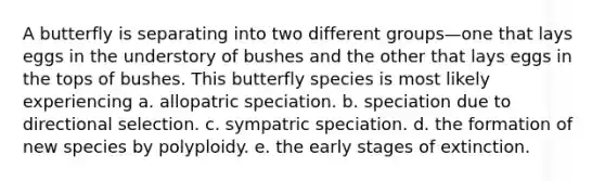 A butterfly is separating into two different groups—one that lays eggs in the understory of bushes and the other that lays eggs in the tops of bushes. This butterfly species is most likely experiencing a. allopatric speciation. b. speciation due to directional selection. c. sympatric speciation. d. the formation of new species by polyploidy. e. the early stages of extinction.