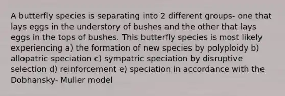 A butterfly species is separating into 2 different groups- one that lays eggs in the understory of bushes and the other that lays eggs in the tops of bushes. This butterfly species is most likely experiencing a) the formation of new species by polyploidy b) allopatric speciation c) sympatric speciation by disruptive selection d) reinforcement e) speciation in accordance with the Dobhansky- Muller model