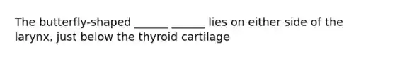 The butterfly-shaped ______ ______ lies on either side of the larynx, just below the thyroid cartilage