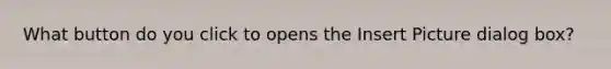 What button do you click to opens the Insert Picture dialog box?