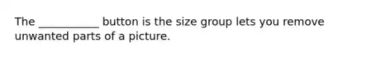 The ___________ button is the size group lets you remove unwanted parts of a picture.