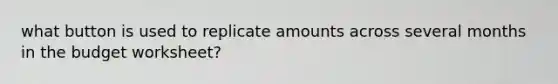 what button is used to replicate amounts across several months in the budget worksheet?