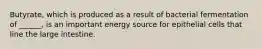 Butyrate, which is produced as a result of bacterial fermentation of ______, is an important energy source for epithelial cells that line the large intestine.