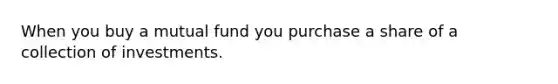 When you buy a mutual fund you purchase a share of a collection of investments.