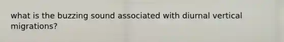 what is the buzzing sound associated with diurnal vertical migrations?