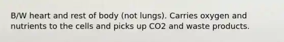 B/W heart and rest of body (not lungs). Carries oxygen and nutrients to the cells and picks up CO2 and waste products.