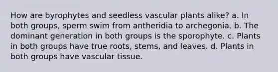 How are byrophytes and seedless vascular plants alike? a. In both groups, sperm swim from antheridia to archegonia. b. The dominant generation in both groups is the sporophyte. c. Plants in both groups have true roots, stems, and leaves. d. Plants in both groups have vascular tissue.