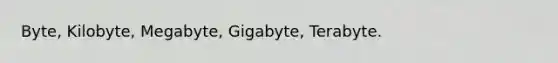 Byte, Kilobyte, Megabyte, Gigabyte, Terabyte​.