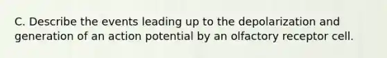 C. Describe the events leading up to the depolarization and generation of an action potential by an olfactory receptor cell.