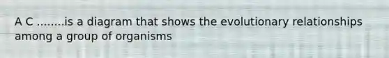 A C ........is a diagram that shows the evolutionary relationships among a group of organisms