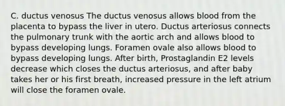 C. ductus venosus The ductus venosus allows blood from the placenta to bypass the liver in utero. Ductus arteriosus connects the pulmonary trunk with the aortic arch and allows blood to bypass developing lungs. Foramen ovale also allows blood to bypass developing lungs. After birth, Prostaglandin E2 levels decrease which closes the ductus arteriosus, and after baby takes her or his first breath, increased pressure in the left atrium will close the foramen ovale.