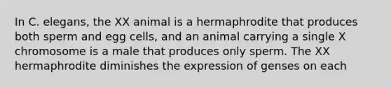 In C. elegans, the XX animal is a hermaphrodite that produces both sperm and egg cells, and an animal carrying a single X chromosome is a male that produces only sperm. The XX hermaphrodite diminishes the expression of genses on each