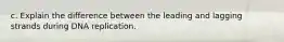 c. Explain the difference between the leading and lagging strands during DNA replication.