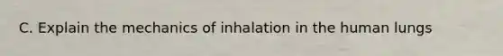 C. Explain the mechanics of inhalation in the human lungs