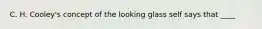 C. H. Cooley's concept of the looking glass self says that ____