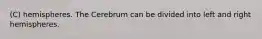 (C) hemispheres. The Cerebrum can be divided into left and right hemispheres.