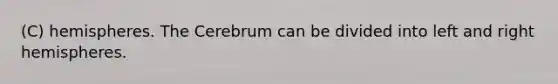 (C) hemispheres. The Cerebrum can be divided into left and right hemispheres.