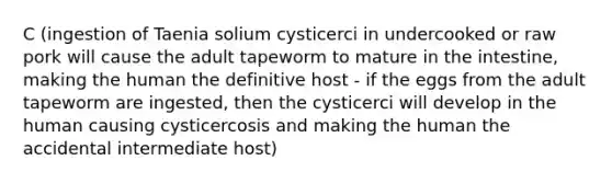 C (ingestion of Taenia solium cysticerci in undercooked or raw pork will cause the adult tapeworm to mature in the intestine, making the human the definitive host - if the eggs from the adult tapeworm are ingested, then the cysticerci will develop in the human causing cysticercosis and making the human the accidental intermediate host)