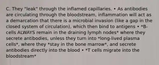 C. They "leak" through the inflamed capillaries. • As antibodies are circulating through the bloodstream, inflammation will act as a demarcation that there is a microbial invasion (like a gap in the closed system of circulation), which then bind to antigens • *B-cells ALWAYS remain in the draining lymph nodes* where they secrete antibodies, unless they turn into *long-lived plasma cells*, where they *stay in the bone marrow*, and secrete antibodies directly into the blood • *T cells migrate into the bloodstream*