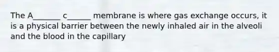 The A_______ c______ membrane is where gas exchange occurs, it is a physical barrier between the newly inhaled air in the alveoli and the blood in the capillary