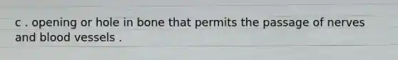 c . opening or hole in bone that permits the passage of nerves and blood vessels .