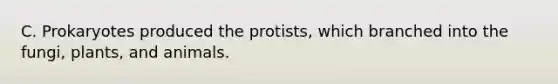 C. Prokaryotes produced the protists, which branched into the fungi, plants, and animals.