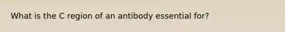 What is the C region of an antibody essential for?