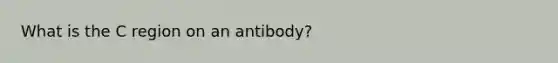 What is the C region on an antibody?