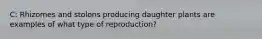 C: Rhizomes and stolons producing daughter plants are examples of what type of reproduction?