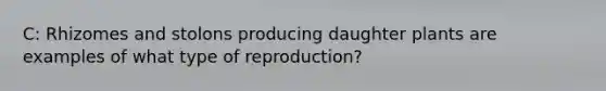 C: Rhizomes and stolons producing daughter plants are examples of what type of reproduction?