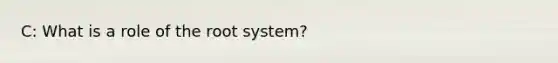 C: What is a role of the root system?