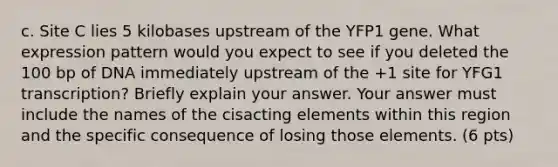 c. Site C lies 5 kilobases upstream of the YFP1 gene. What expression pattern would you expect to see if you deleted the 100 bp of DNA immediately upstream of the +1 site for YFG1 transcription? Briefly explain your answer. Your answer must include the names of the cisacting elements within this region and the specific consequence of losing those elements. (6 pts)