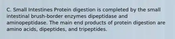 C. Small Intestines Protein digestion is completed by the small intestinal brush-border enzymes dipeptidase and aminopeptidase. The main end products of protein digestion are <a href='https://www.questionai.com/knowledge/k9gb720LCl-amino-acids' class='anchor-knowledge'>amino acids</a>, dipeptides, and tripeptides.