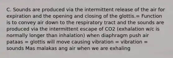 C. Sounds are produced via the intermittent release of the air for expiration and the opening and closing of the glottis.= Function is to convey air down to the respiratory tract and the sounds are produced via the intermittent escape of CO2 (exhalation w/c is normally longer than inhalation) when diaphragm push air pataas = glottis will move causing vibration = vibration = sounds Mas malakas ang air when we are exhaling