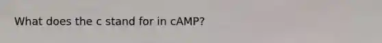 What does the c stand for in cAMP?