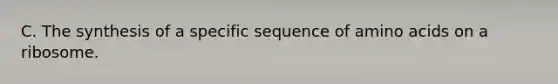 C. The synthesis of a specific sequence of amino acids on a ribosome.