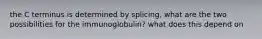 the C terminus is determined by splicing, what are the two possibilities for the immunoglobulin? what does this depend on