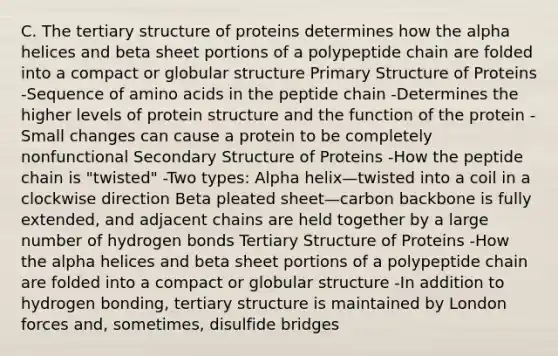 C. The tertiary structure of proteins determines how the alpha helices and beta sheet portions of a polypeptide chain are folded into a compact or globular structure Primary Structure of Proteins -Sequence of amino acids in the peptide chain -Determines the higher levels of protein structure and the function of the protein -Small changes can cause a protein to be completely nonfunctional Secondary Structure of Proteins -How the peptide chain is "twisted" -Two types: Alpha helix—twisted into a coil in a clockwise direction Beta pleated sheet—carbon backbone is fully extended, and adjacent chains are held together by a large number of hydrogen bonds Tertiary Structure of Proteins -How the alpha helices and beta sheet portions of a polypeptide chain are folded into a compact or globular structure -In addition to hydrogen bonding, tertiary structure is maintained by London forces and, sometimes, disulfide bridges