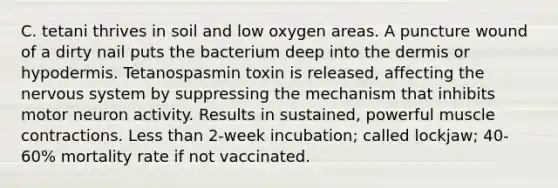 C. tetani thrives in soil and low oxygen areas. A puncture wound of a dirty nail puts the bacterium deep into the dermis or hypodermis. Tetanospasmin toxin is released, affecting the nervous system by suppressing the mechanism that inhibits motor neuron activity. Results in sustained, powerful muscle contractions. Less than 2-week incubation; called lockjaw; 40-60% mortality rate if not vaccinated.