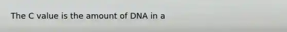 The C value is the amount of DNA in a